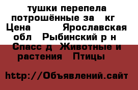 тушки перепела потрошённые за 1 кг › Цена ­ 600 - Ярославская обл., Рыбинский р-н, Спасс д. Животные и растения » Птицы   